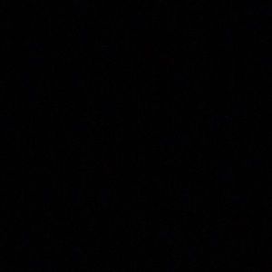 Meet your Posher, Jerry